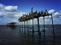 IMG_3484
