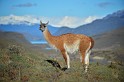 patagonia 2014-09-30 13-19-43